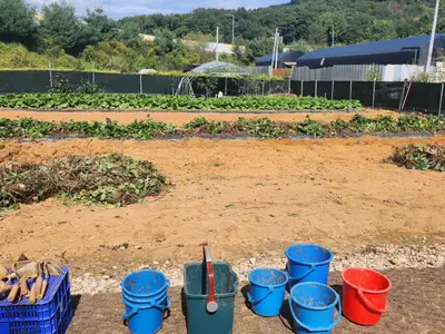 소담농장
