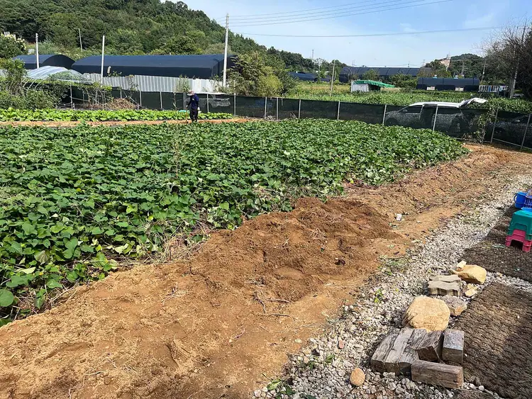 소담농장 사진 2