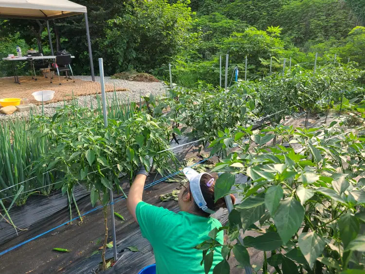 소담농장 사진 3