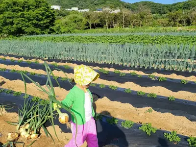 무지개농장