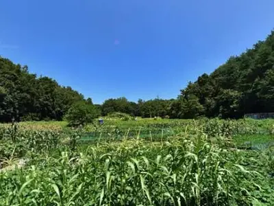 예천온천주말농장