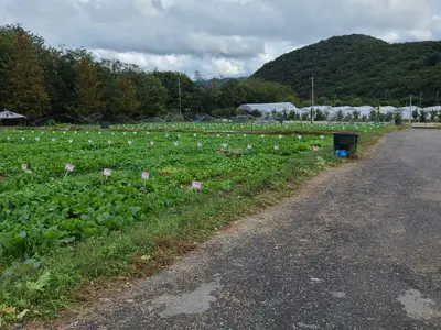 삼성농원