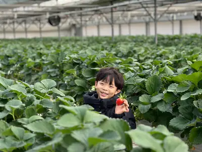 평택 삼촌농장