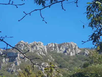 달마산바베트