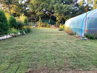 마실