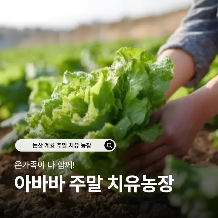 아바바 치유농장 사진 4