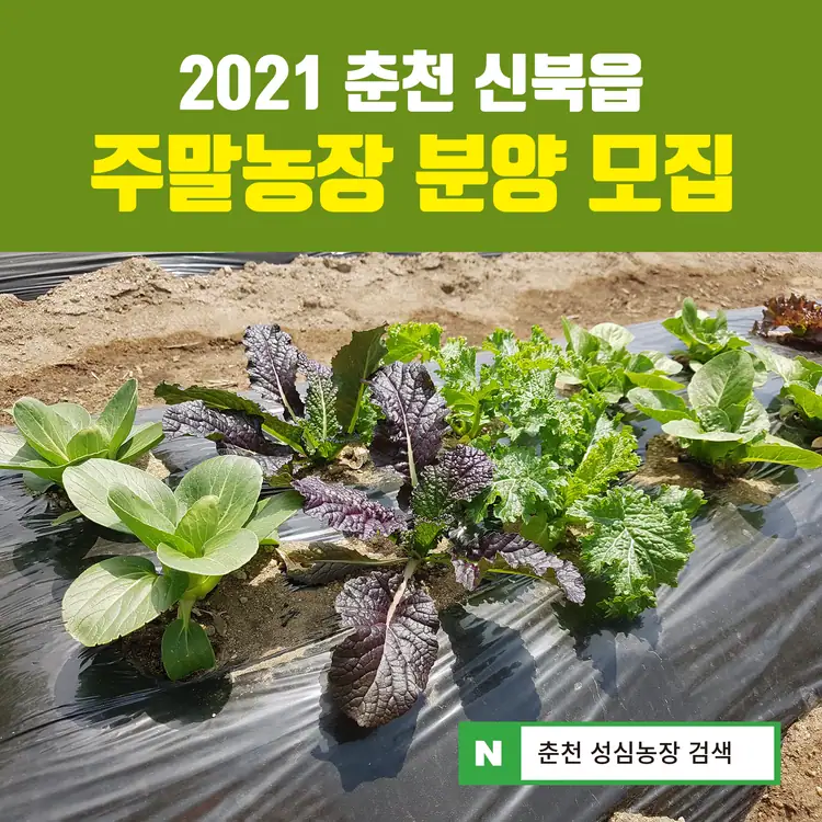 성심농장 사진 2