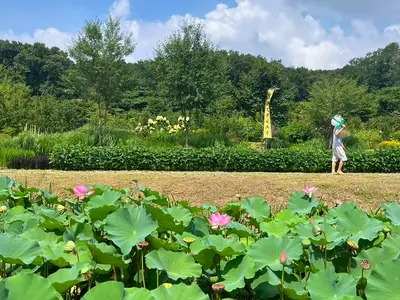 향림도시농업체험원