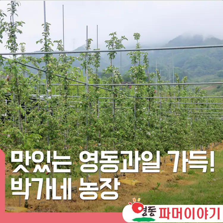 박가네농장 사진 2