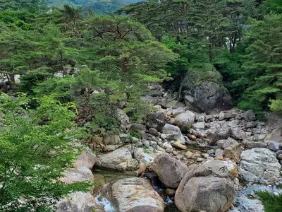신농산삼약초농원