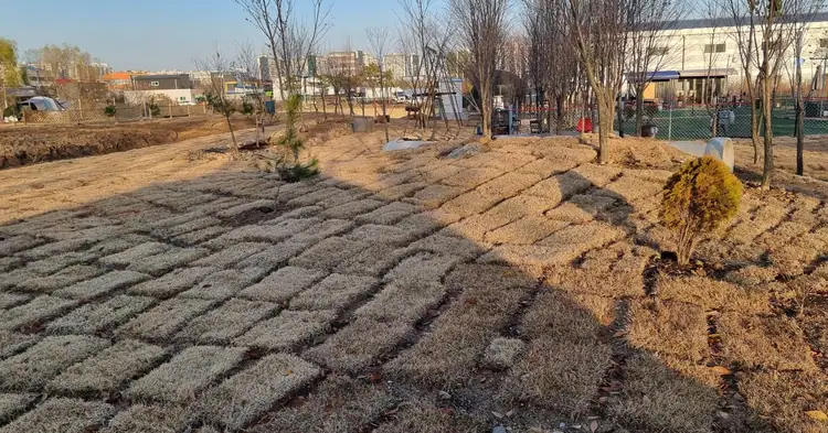댕댕텃밭 사진 2