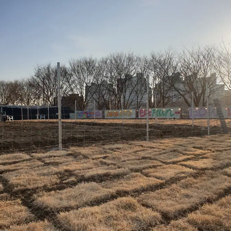 댕댕텃밭 사진 3