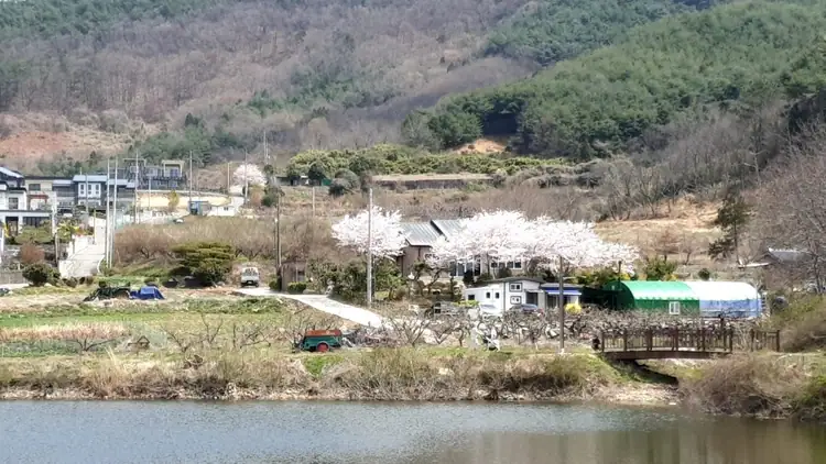 연화농장 사진 3