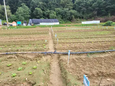 양수가정 농장