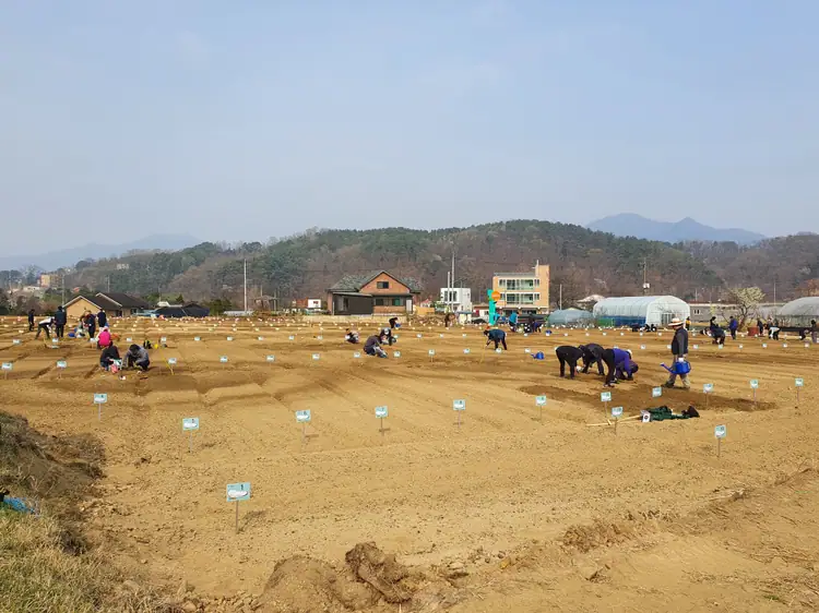 양수가정 농장 사진 2
