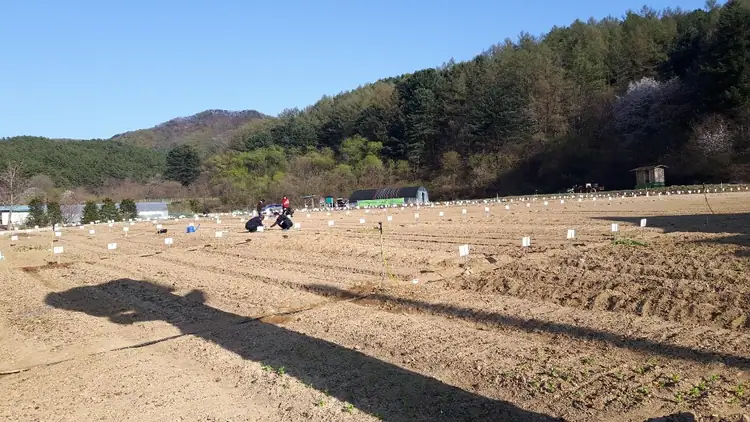 양수가정 농장 사진 3