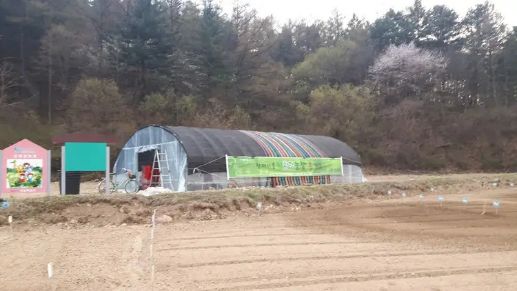 양수가정 농장 사진 4