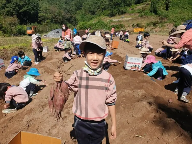 해피농장 사진 3