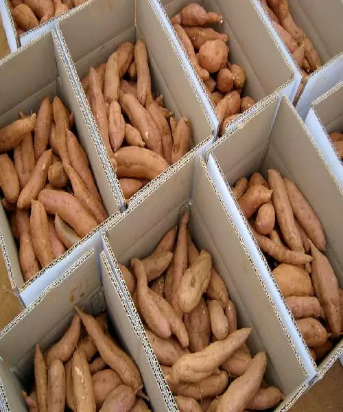 바다농원 사진 4