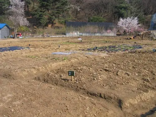 사기막골주말농장 사진 3