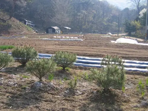 사기막골주말농장 사진 4