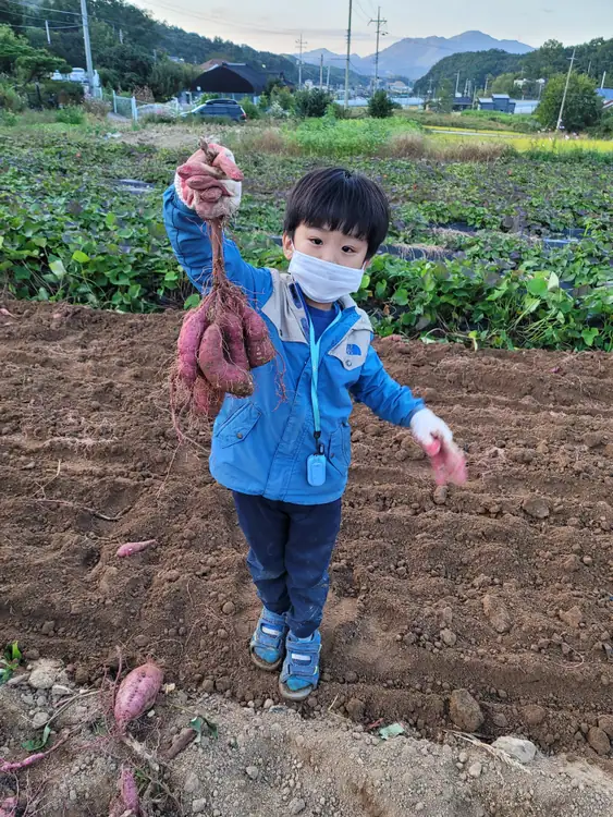 금호농원 사진 1