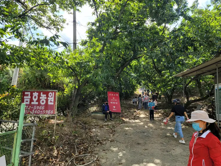 금호농원 사진 2