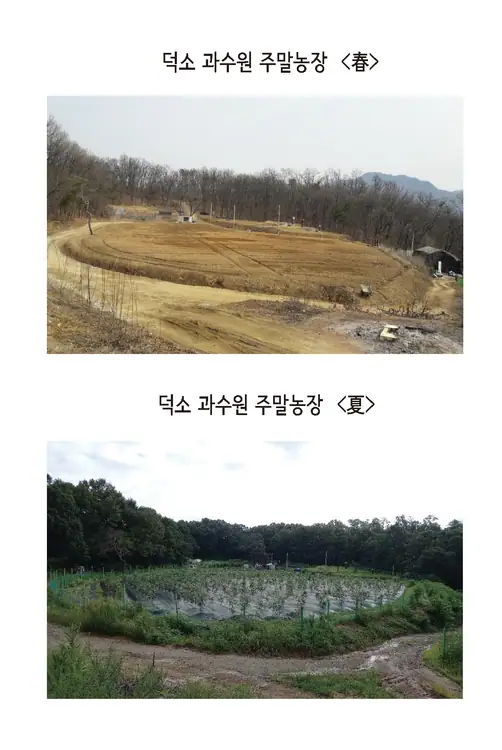 덕소숲속주말농장 사진 4