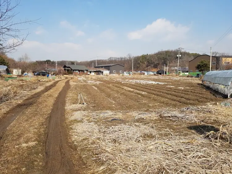 송능주말농장 사진 3