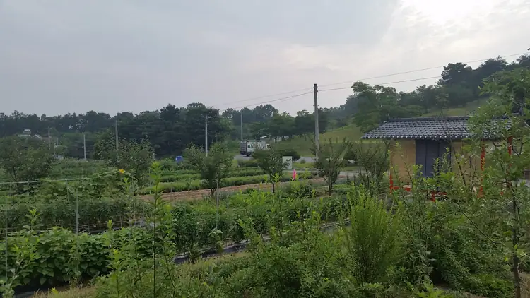 류가네주말농장 사진 4
