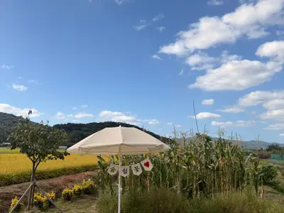 숨쉴꽃 허브 체험농장