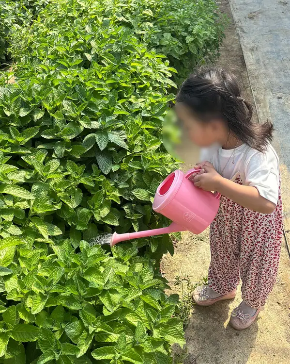 숨쉴꽃 허브 체험농장 사진 2