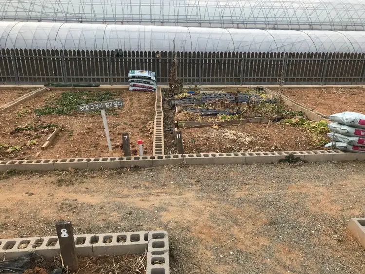 구허농원 사진 3