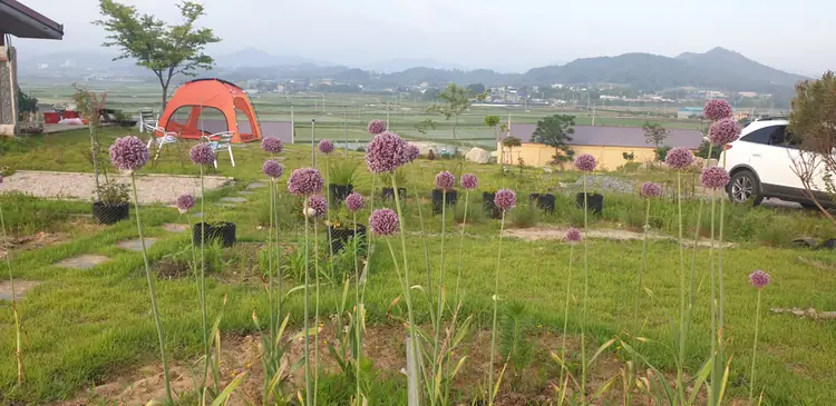 동창이밝았느냐 사진 2