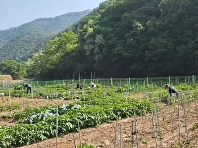 송촌약수터농장