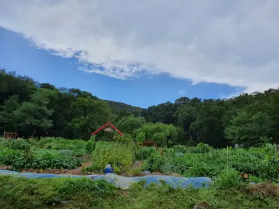 송월그레이스팜