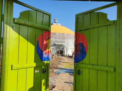 히비스커스