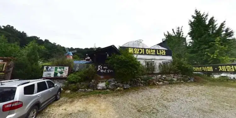 꿀벌붕붕이주말농장 사진 1