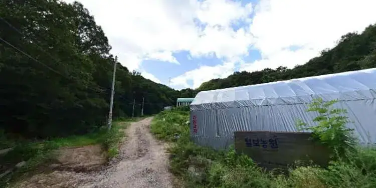 털보농장 사진 2