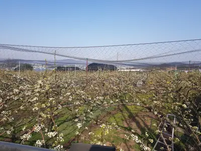 고등주말농장