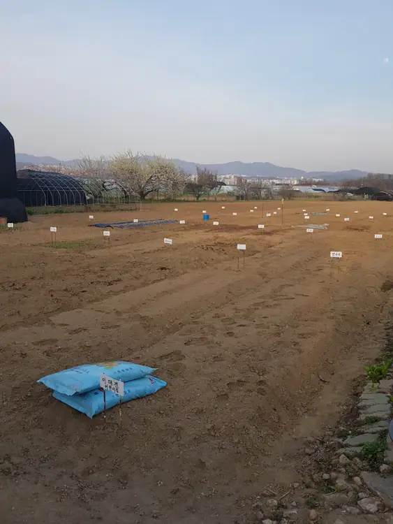 고등주말농장 사진 3