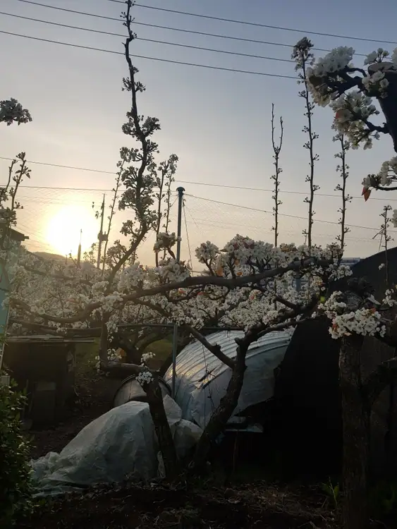 고등주말농장 사진 4
