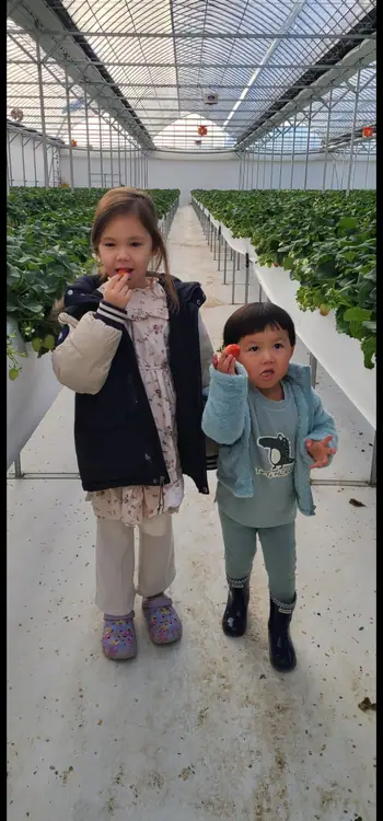 인제사과 딸기 농장 사진 3