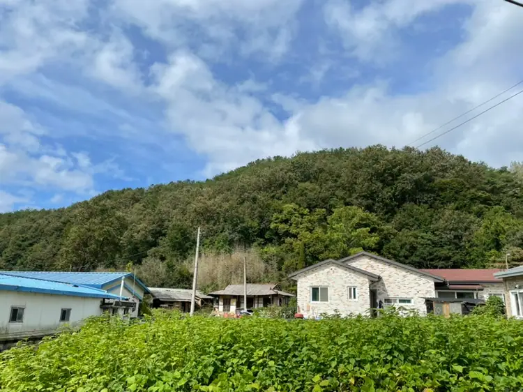 능길마을 사진 1