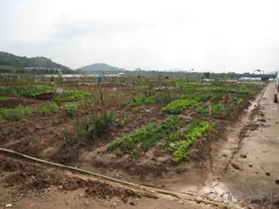 고촌주말농장