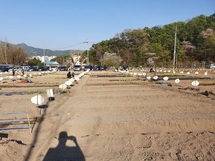 무수골주말농장 사진 2