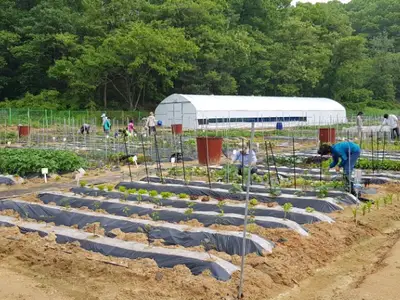 도시농부텃밭