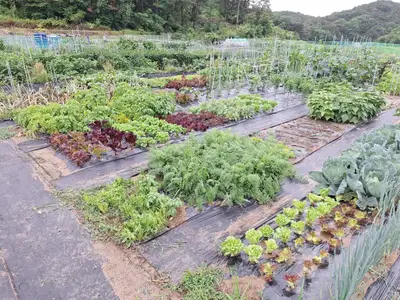 돌콩주말농장