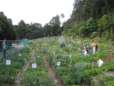 정의공주 주말농장