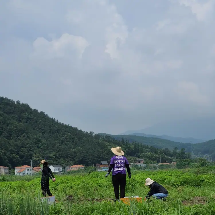 가온들찬빛딸기체험농장 사진 5